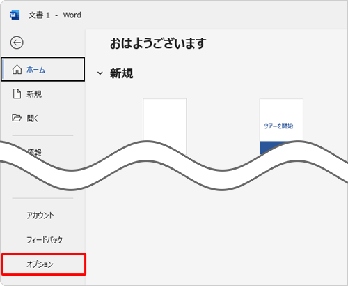 画面左側から「オプション」をクリックします