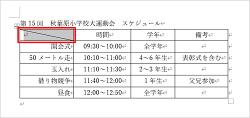 表のセルに斜線を引いた状態