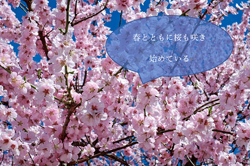 吹き出しを挿入した一例