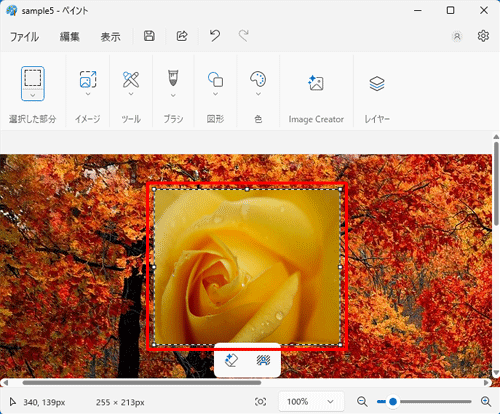 開いた画像に、ほかの画像が挿入できたことを確認してください