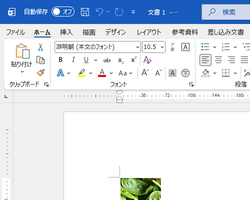 選択した範囲の画像が、ほかのアプリにコピーできたことを確認してください