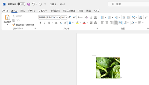 選択した範囲の画像が、ほかのアプリにコピーできたことを確認してください