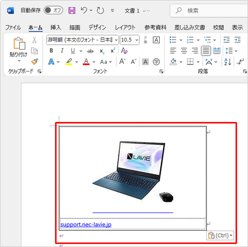 コレクションのコンテンツが、Wordの本文内にコピーされたことを確認します