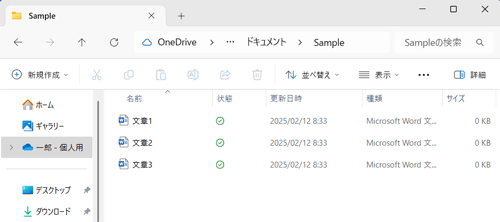 種類が「ドキュメント」のフォルダーを「詳細」の表示形式で開いている状態（一例）