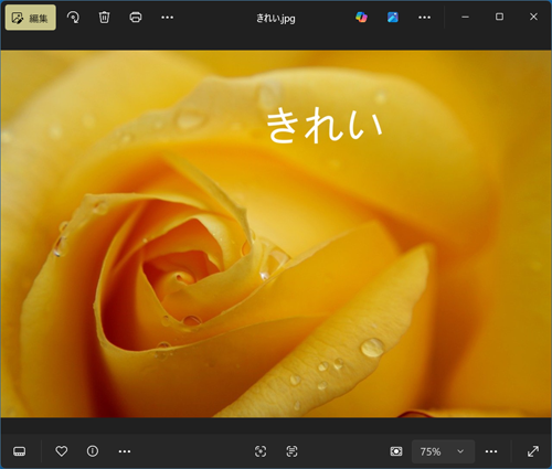 写真や画像に文字が挿入されたことを確認してください