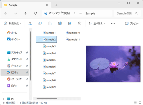 プレビューウィンドウに、選択したファイルのプレビューが表示されたことを確認してください