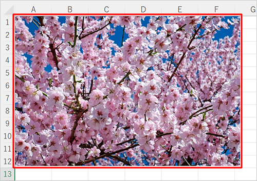選択した画像がシートに挿入されたことを確認します