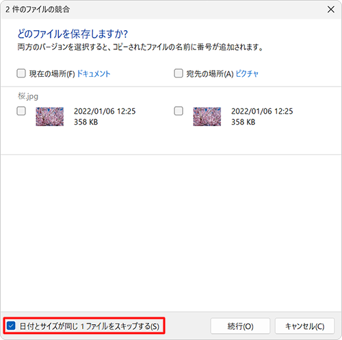 「日付とサイズが同じ（個数）ファイルをスキップする」にチェックを入れると、更新日時とサイズが同じファイルはコピーの対象外となり、それ以外のファイルのみ表示されます