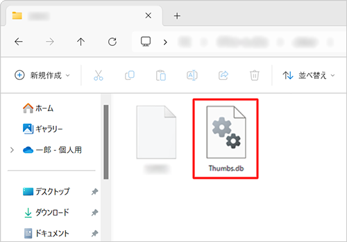 「Thumbs.db」ファイルの表示例