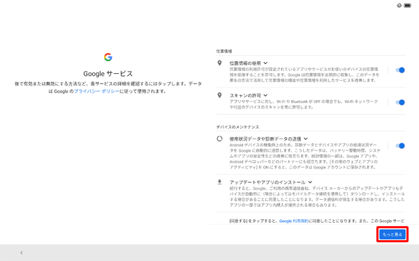 各項目の内容を確認し、「もっと見る」をタップします