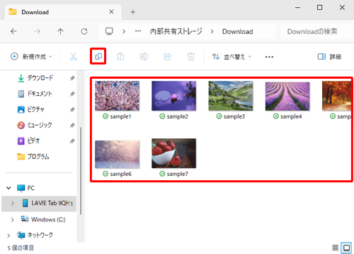 すべてのファイルを選択し、「アイコン」（コピー）をクリックします
