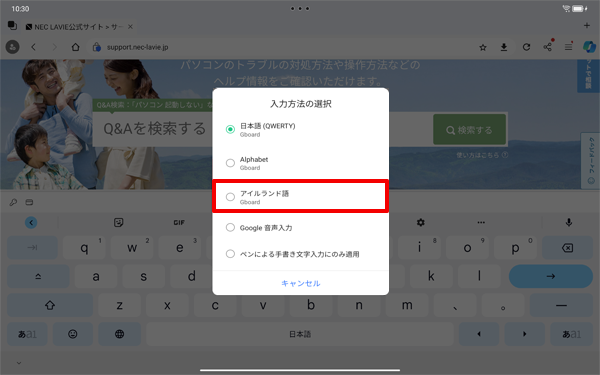 一覧から「アイルランド語」をタップします