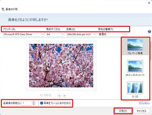 以下の各項目を必要に応じて設定し、「印刷」をクリックします