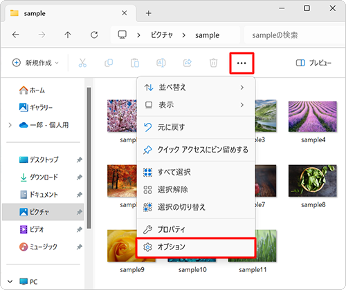 画面上部のメニューから「アイコン」（もっと見る）をクリックし、「オプション」をクリックします