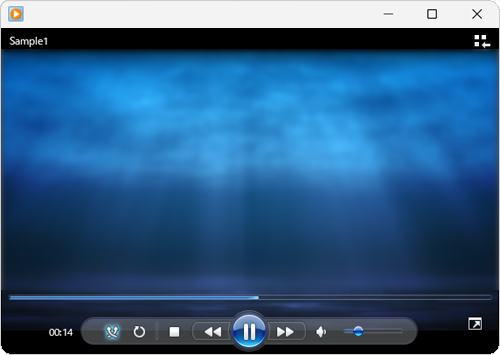 動画が再生されることを確認します