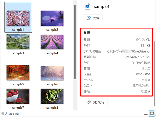 JPEGファイルの詳細情報（一例）