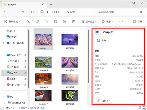 エクスプローラーの詳細ウィンドウを表示し、編集した内容が反映されていることを確認してください
