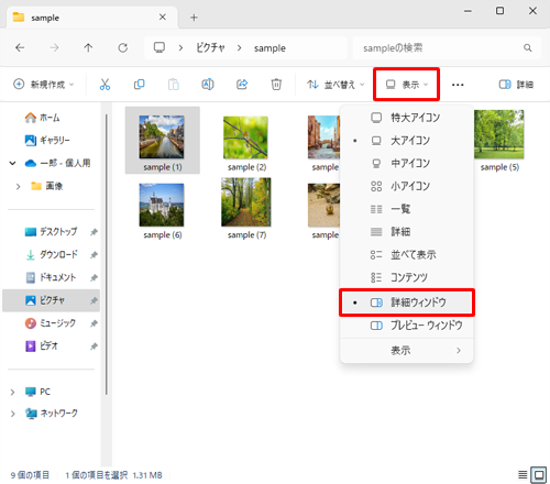リボンから「表示」タブをクリックし、「詳細ウインドウ」をクリックします