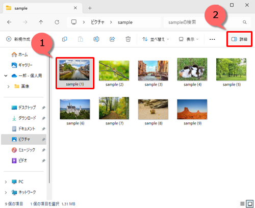 詳細情報を確認したい画像ファイルを選択し、リボンから「詳細」をクリックします