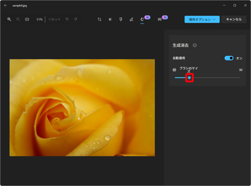 画面右側に「生成消去」メニューが表示されたら、「ブラシのサイズ」欄にあるつまみを左右に動かして、ブラシのサイズを調整します