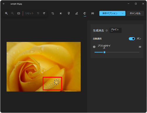 マウスポインター部分に黒と白の「○」が表示されたことを確認し、問題のある箇所をクリックします