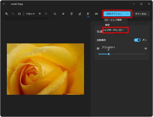 写真をクリップボードにコピーする場合は、「保存オプション」をクリックし、表示された一覧から「画像をクリップボードにコピー」をクリックします