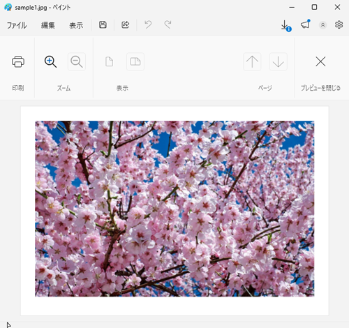 「印刷プレビュー」をクリックすると、印刷前に印刷結果を確認することができます