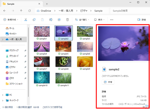 詳細ウィンドウ表示の状態（一例）