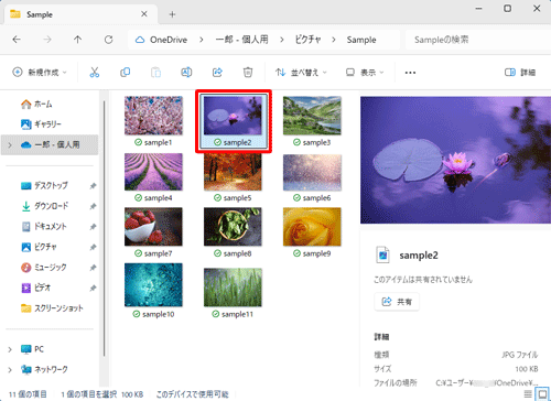 詳細ウィンドウが表示されるフォルダーを開いて、任意のファイルをクリックします