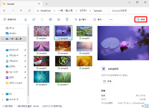 画面右上の「アイコン」（詳細ウィンドウの表示/非表示を切り替えます）をクリックします