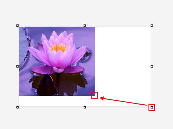 画像のまわりに余白がある場合は、右下に表示されている「☐」をクリックして、画像の大きさの位置まで「☐」をドラッグします