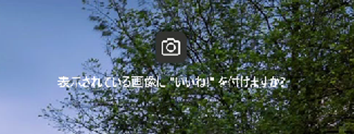 「表示されている画像に