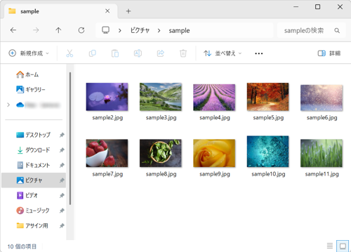 「sample1.jpg」ファイルが表示されなくなったことを確認してください