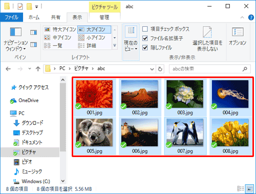 すべてのファイルが選択されたことを確認して、「Ctrl」キー＋「C」キーを押してコピーします