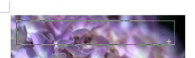 マウスポインターが「＋」に変わったことを確認し、画像内で文字を表示したい範囲をドラッグします