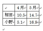 表のサイズが自動で文字列の幅に変更されたことを確認してください